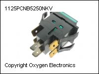 1125PCNB5250NKV thumb