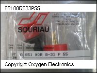 thumbnail 85100R833P55