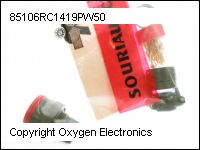 thumbnail 85106RC1419PW50