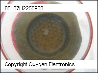 thumbnail 85107H2255P50