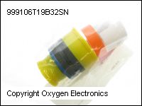 999106T19B32SN thumb