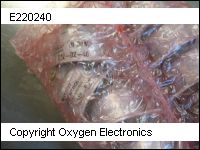 E220240 thumb