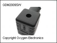 GDM2009SW thumb