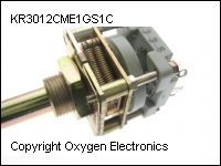 KR3012CME1GS1C thumb