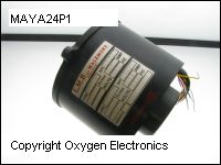 MAYA24P1 thumb