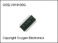 QS5LV919100Q thumb