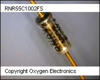 RNR55C1002FS thumb