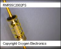 RNR55C2002FS thumb
